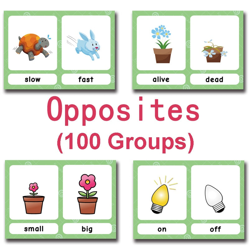 100 Groups/set Opposites Puzzle